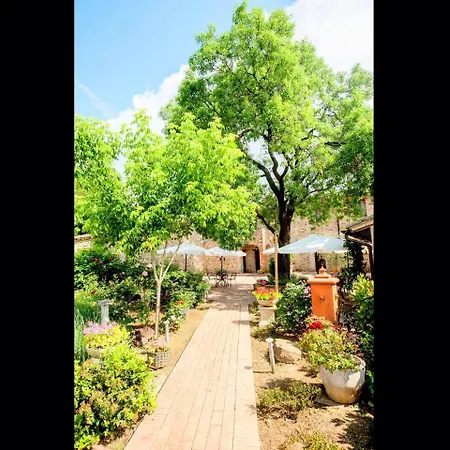 度假居 Agello Quercia 马焦内
