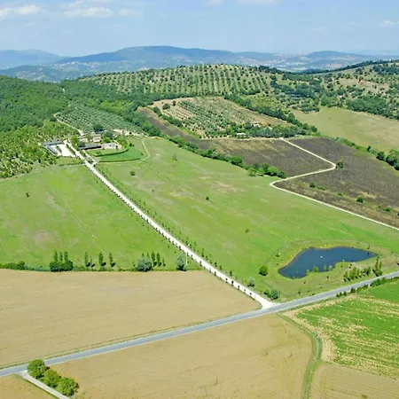 Agello Quercia 马焦内